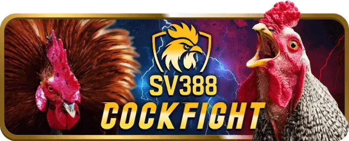 Chương trình hoàn trả ibet889 cho thể thao và casino
